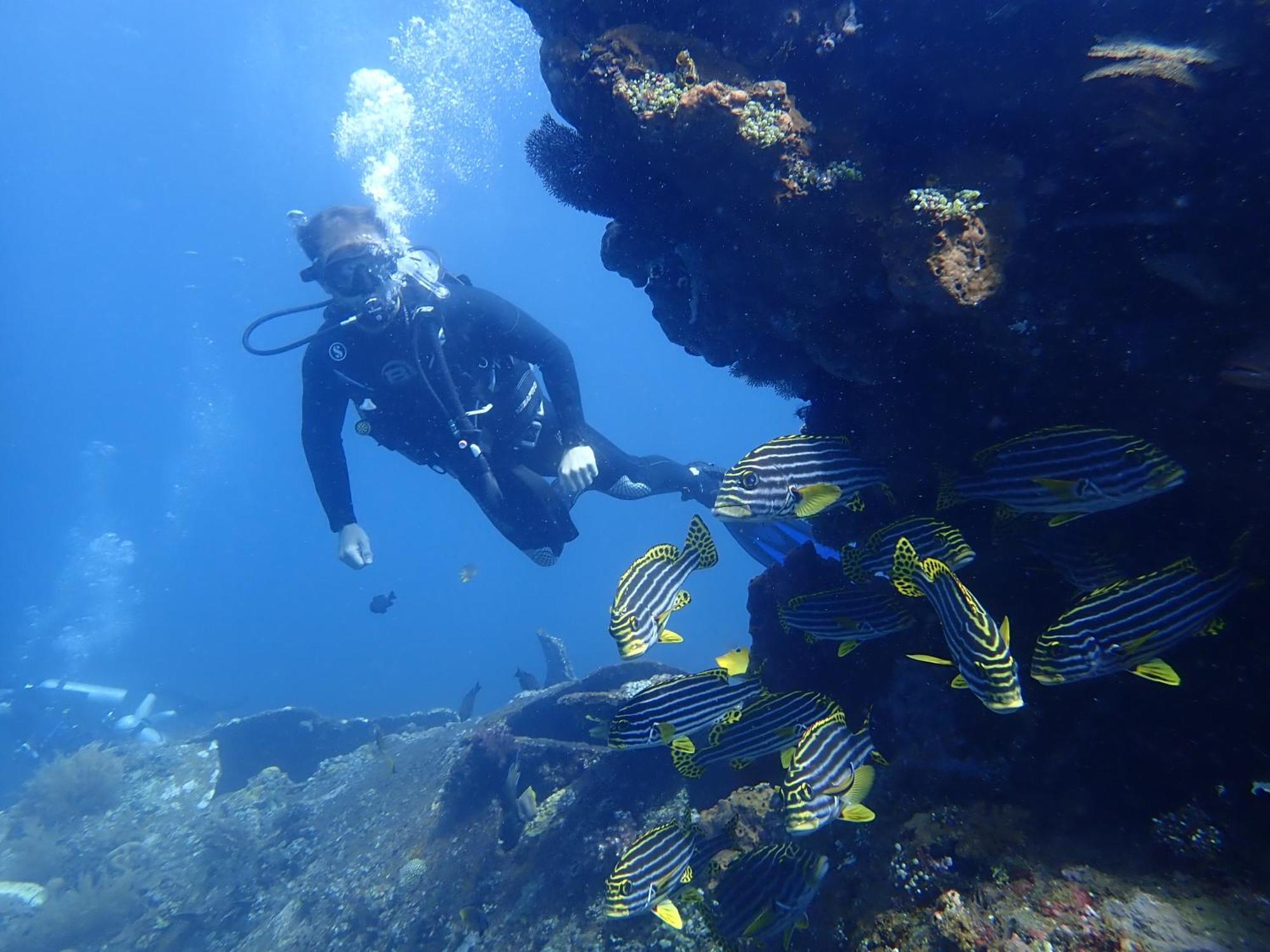 Palm Springs Bali Dive Resort Tulamben Exteriör bild